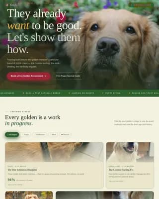 Dog Certified Booking Website Template
