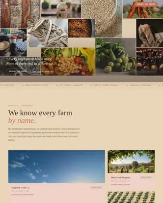 Low-FODMAP Food & Dining Professional Website Template