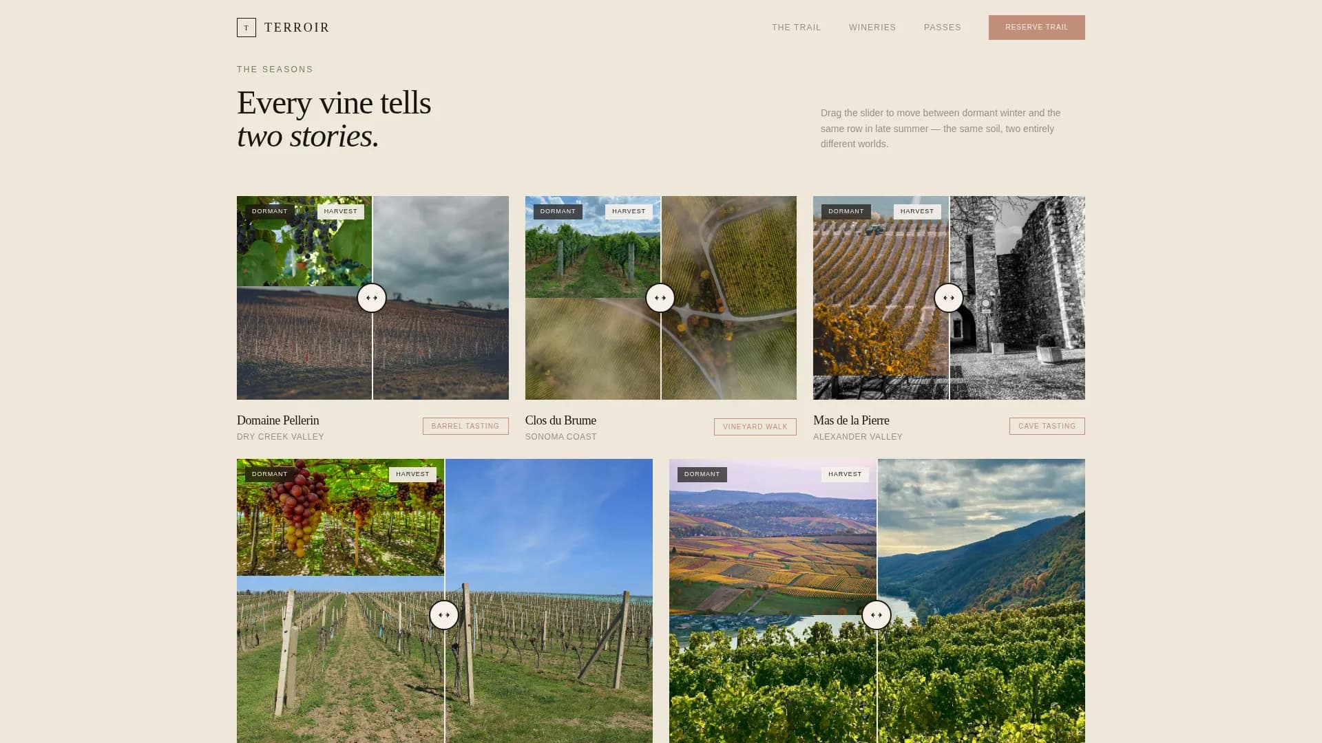 Winery & Wine Pricing Website Template