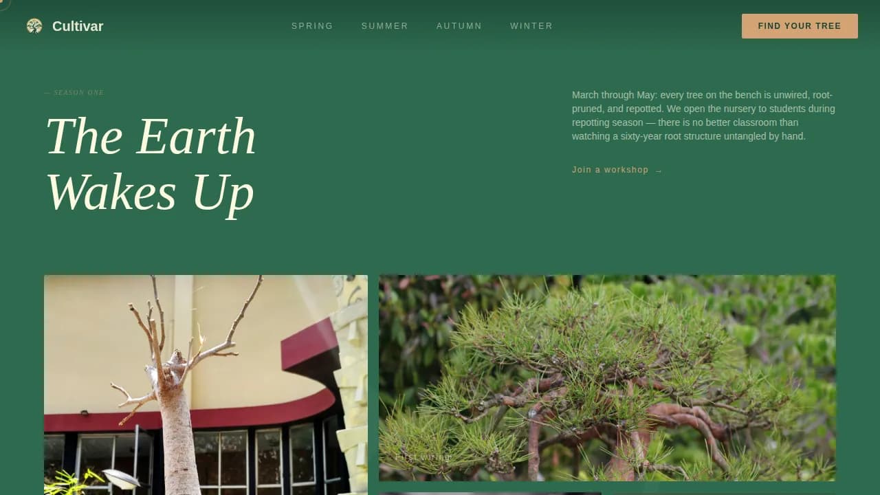 Bonsai — Heritage Living Sculpture Nursery Landing Page Template
