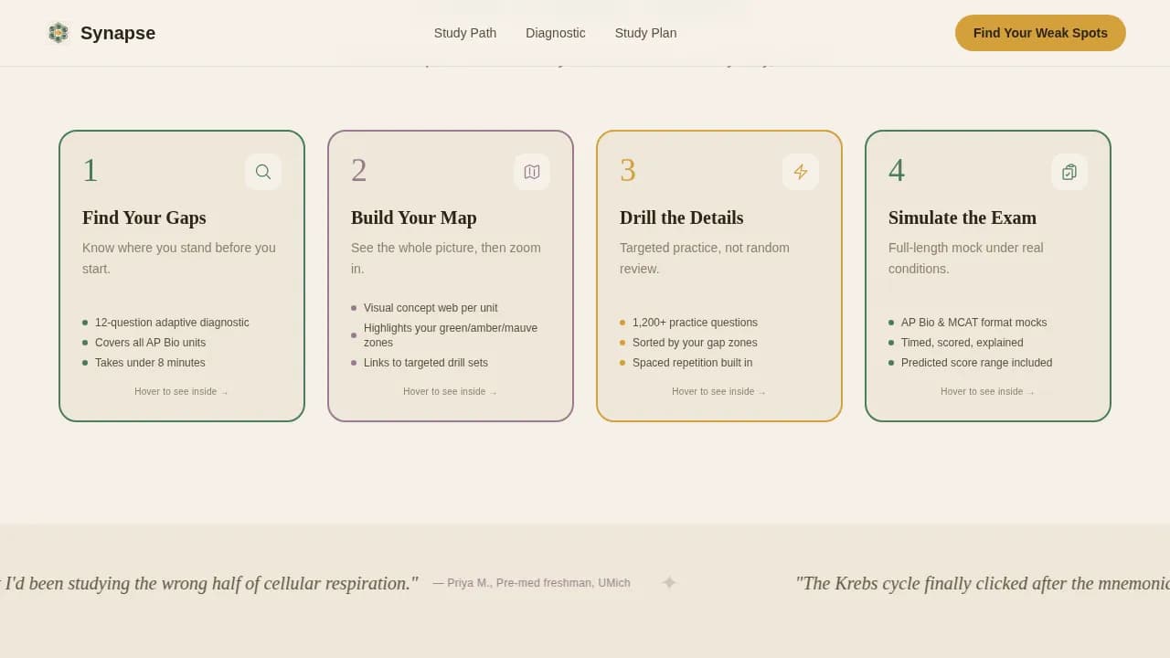 Biology Education Professional Website Template