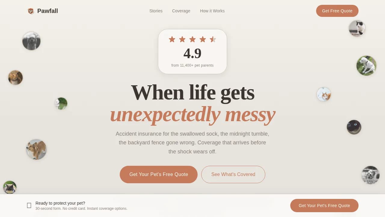 Pet Insurance & Finance Reviews Website Template