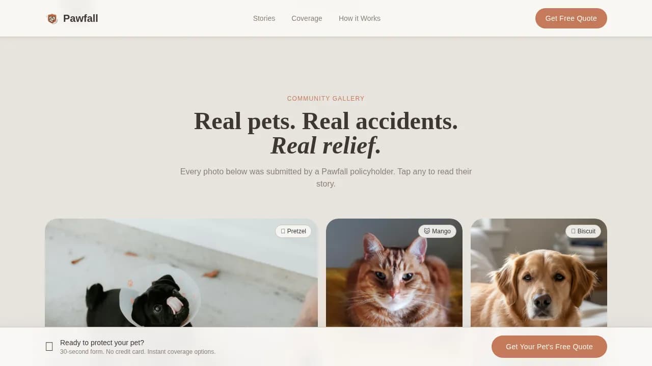 Pet Insurance & Finance Reviews Website Template