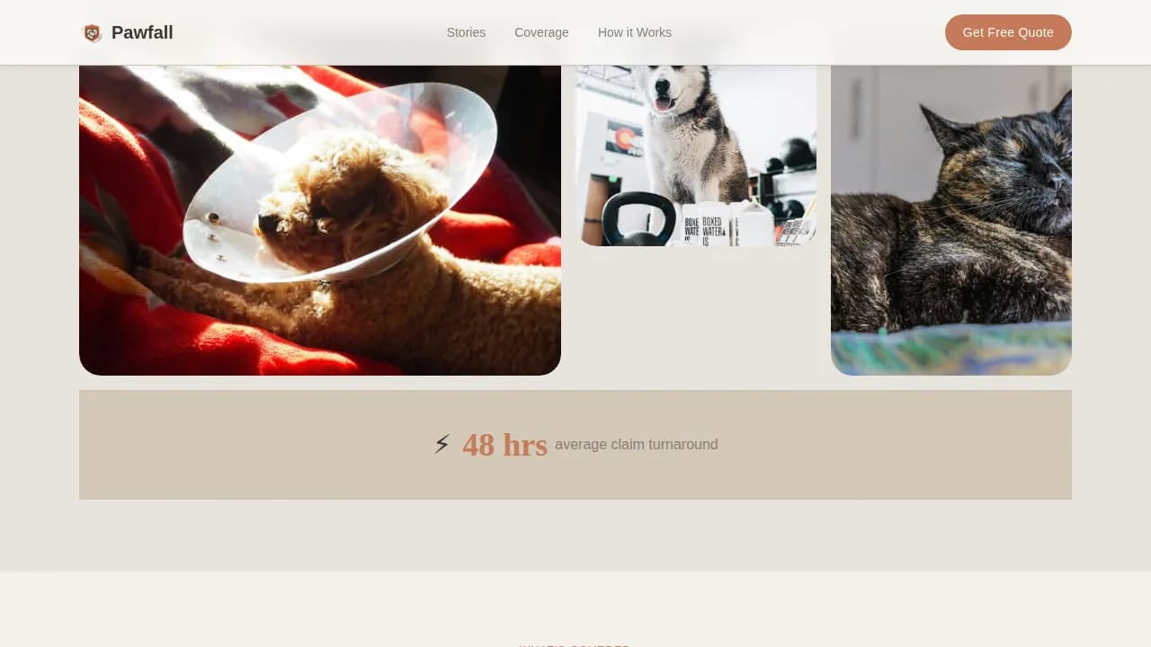 Pet Insurance & Finance Reviews Website Template
