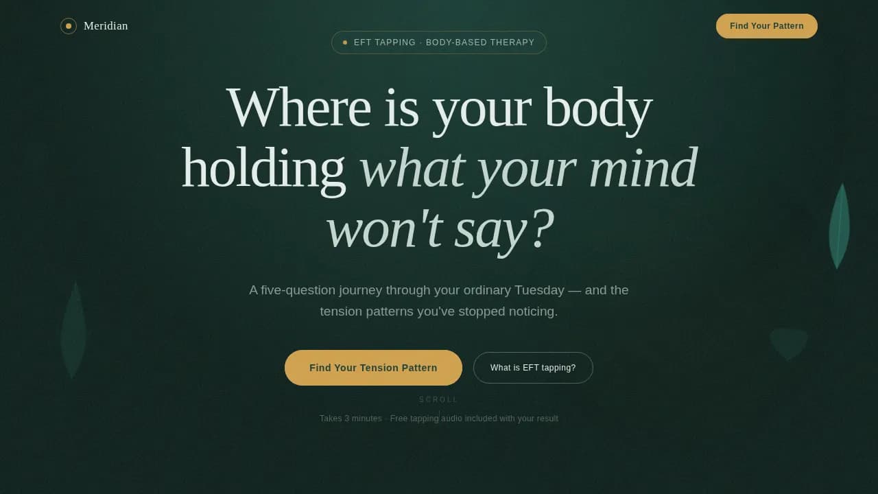 Meridian - Find Your Tension Pattern EFT Tapping Landing Page Template
