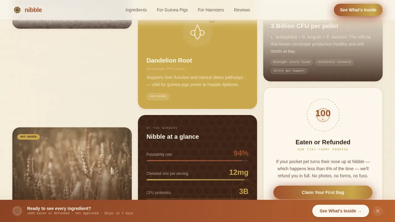 Hamster & Guinea Pig Professional Website Template