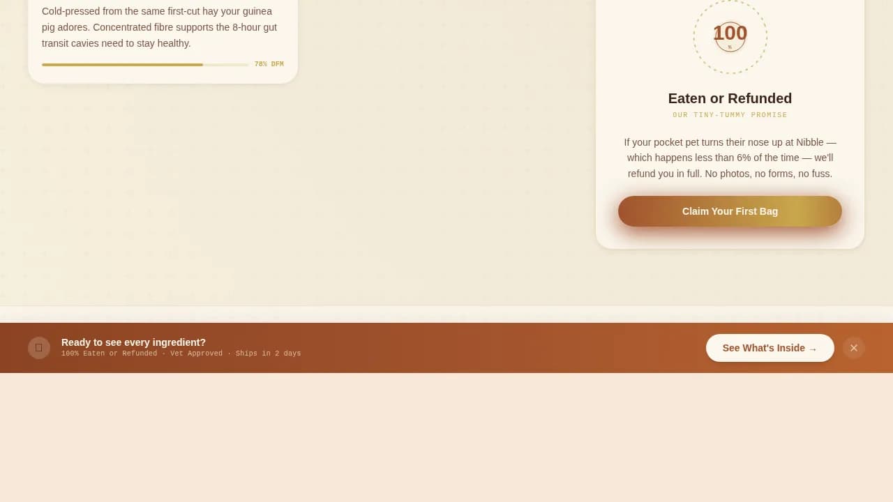 Hamster & Guinea Pig Professional Website Template