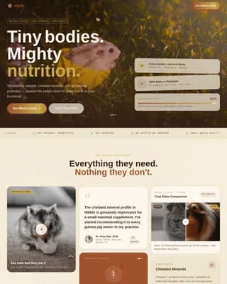 Hamster & Guinea Pig Professional Website Template