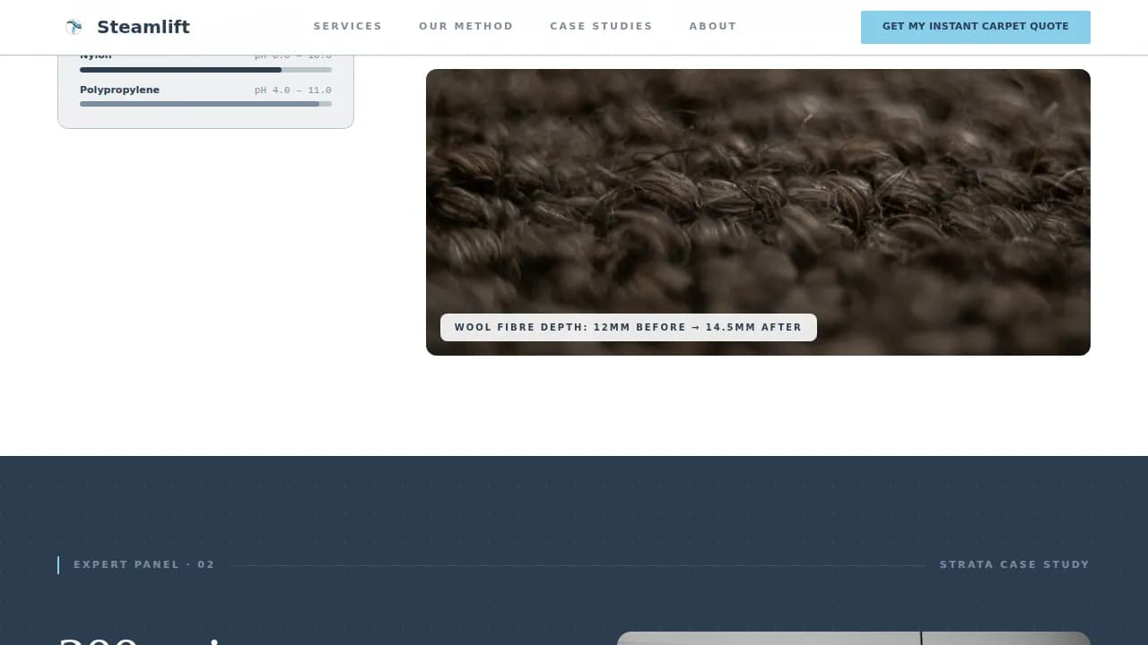 Steamlift — Carpet Restoration Landing Page Template