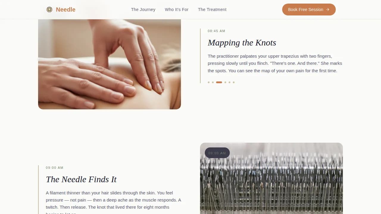Chiropractor & Physical Therapy Booking Website Template
