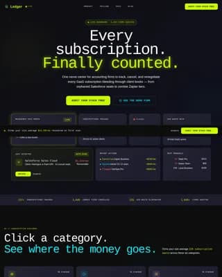 Accounting Firm Software Specialist Professional Website Template