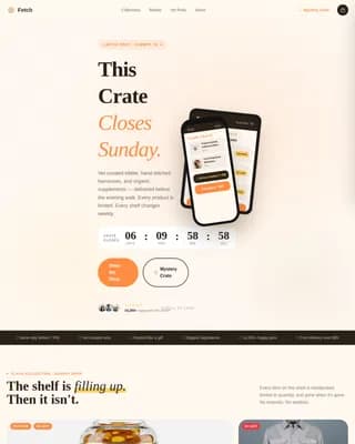 On-Demand Business Professional Website Template