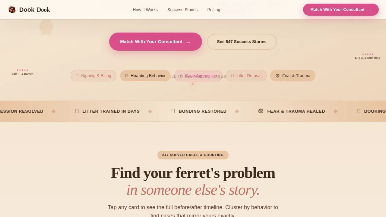 Ferret Reviews Website Template