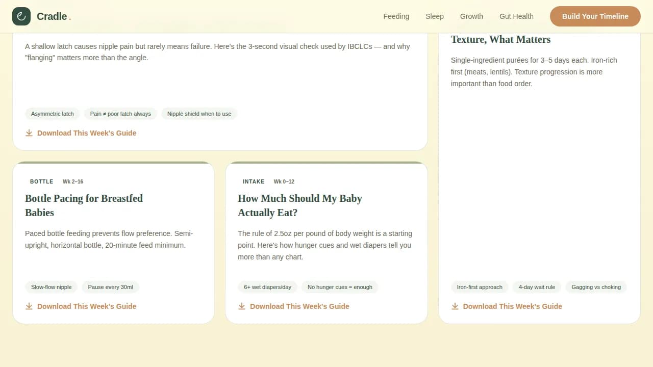 Infant (0-1) Products & Professional Website Template