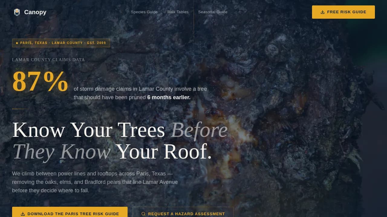 Paris Local Professional Website Template