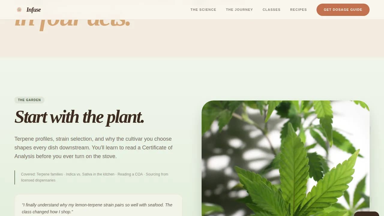 Cannabis Industry Blog Website Template