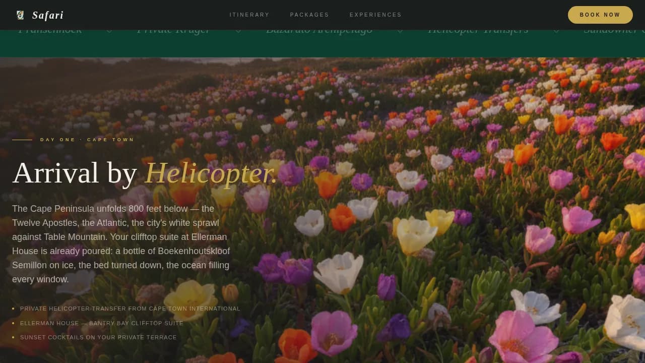 South Africa Travel Booking Website Template