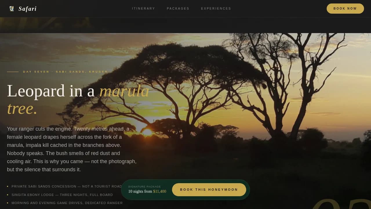 South Africa Travel Booking Website Template
