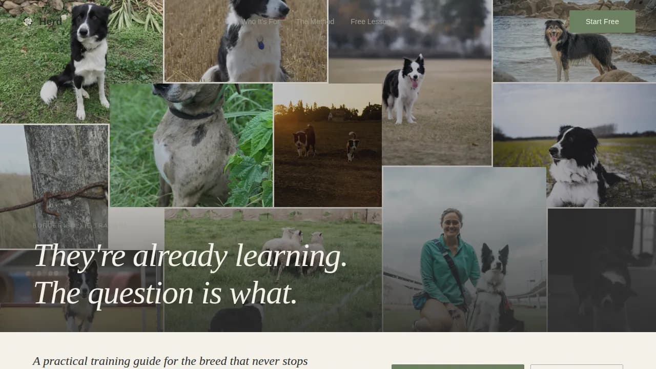 Dog Certified Reviews Website Template