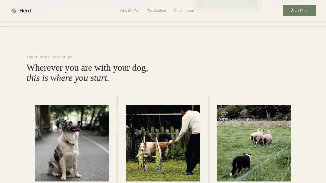 Dog Certified Reviews Website Template