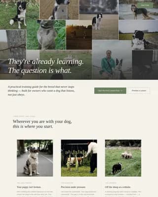 Dog Certified Reviews Website Template