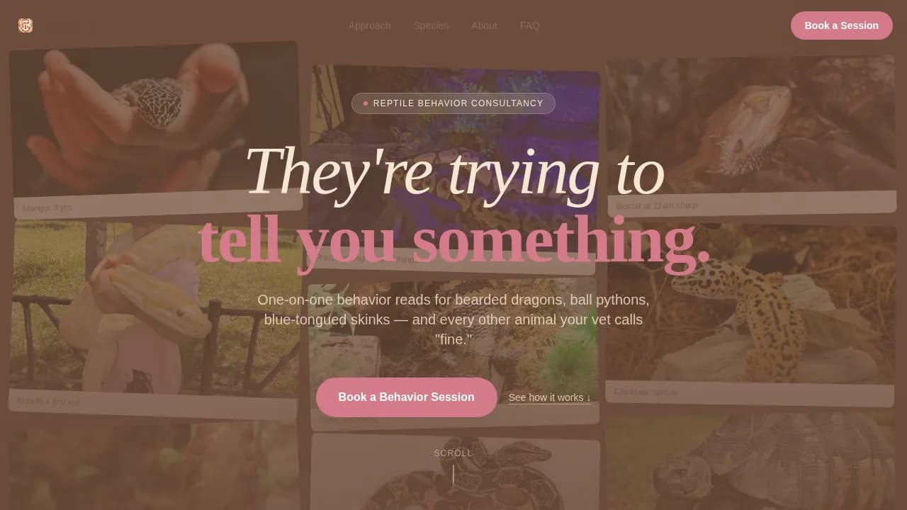 Reptile — Expert Exotic Animal Coaching Landing Page Template