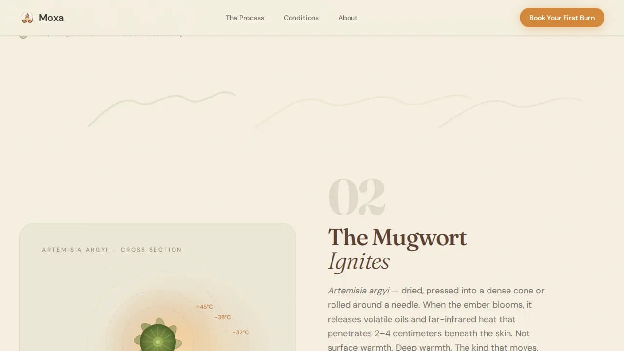 Moxa — Traditional Wellness Therapy Landing Page Template