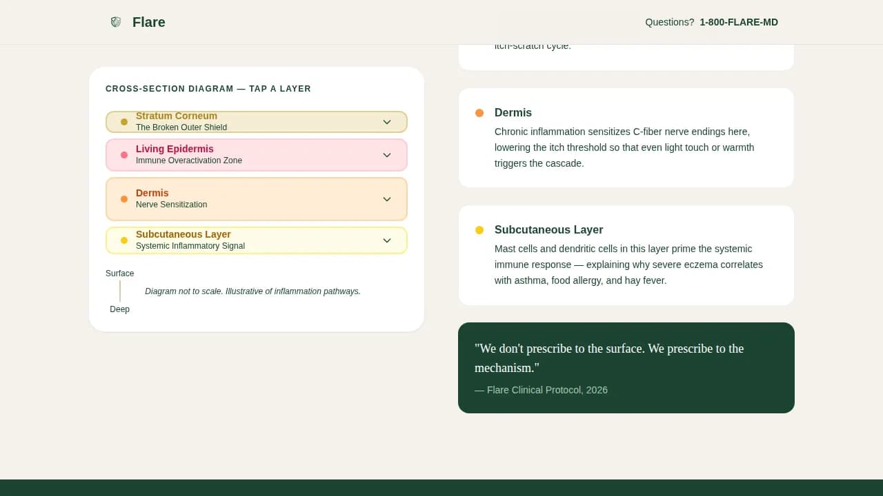 Flare — Specialized Dermatology Eczema Landing Page Template