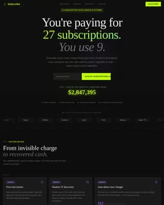 Retail Software Professional Website Template