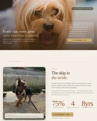 Yorkie — Genetics Health Blog Landing Page Template