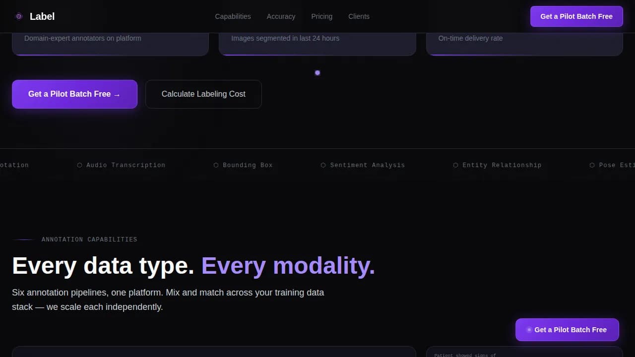 DataSort — Rapid AI Labeling Landing Page Template
