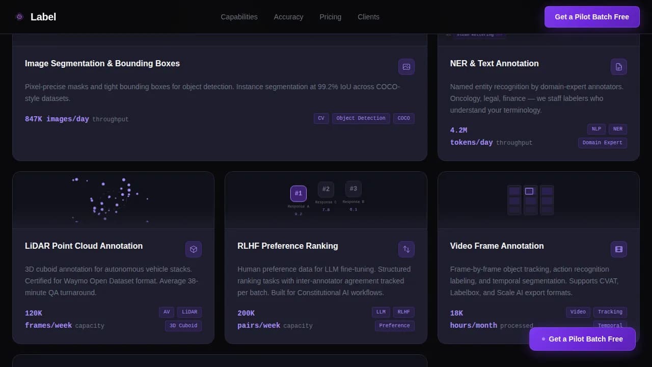 DataSort — Rapid AI Labeling Landing Page Template