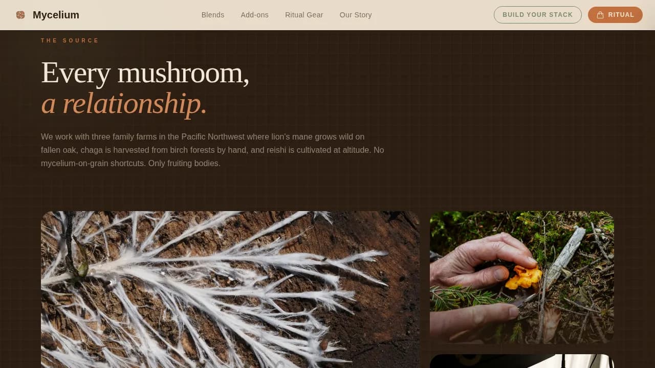 Brew — Premium Mushroom Coffee Landing Page Template