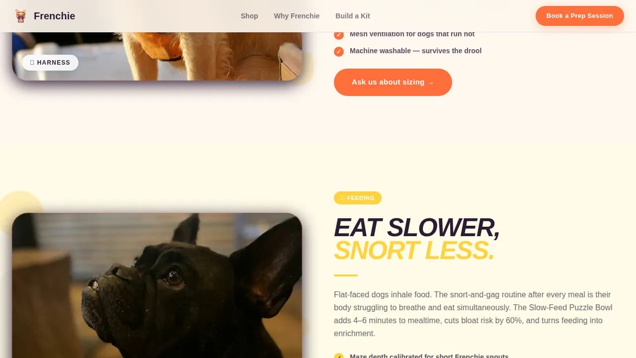 Paws — Playful Puppy Essentials Landing Page Template