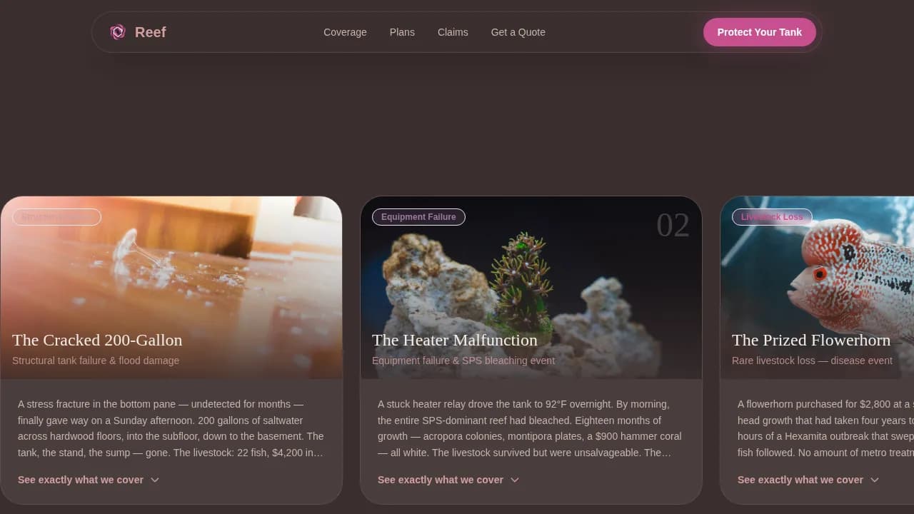 Fish & Aquarium Privacy Policy Website Template