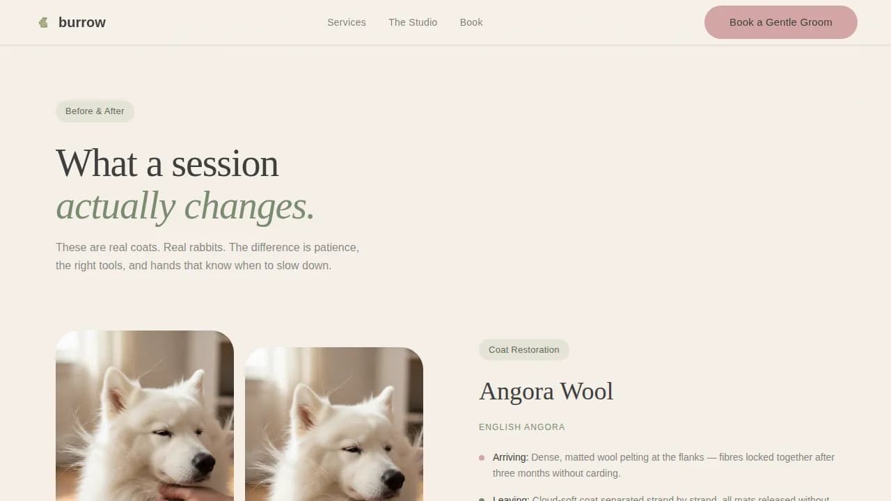 Burrow — Expert Small Animal Care Landing Page Template