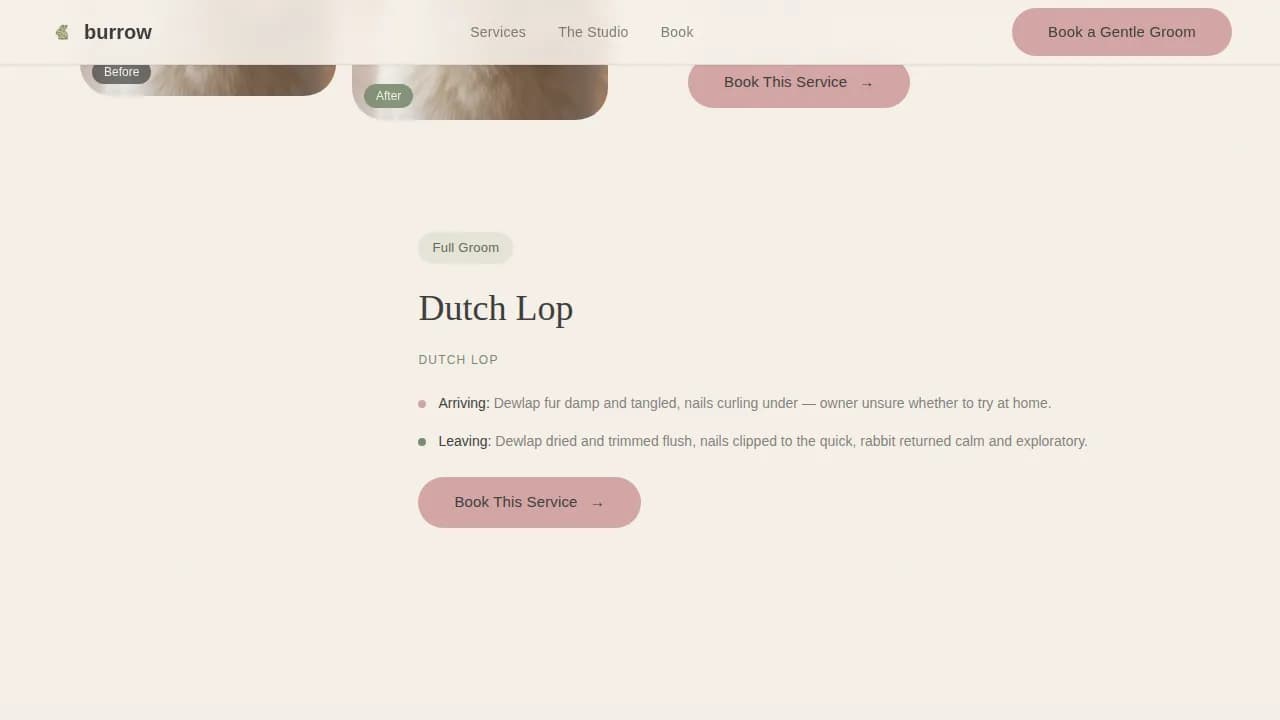 Burrow — Expert Small Animal Care Landing Page Template