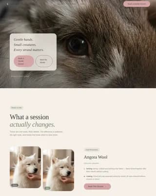 Burrow — Expert Small Animal Care Landing Page Template