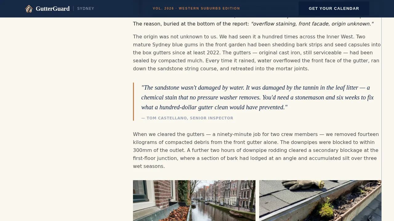 Gutter — Authoritative Cleaning Solutions Landing Page Template