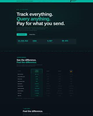 Micro-SaaS & Developer Tools Professional Website Template