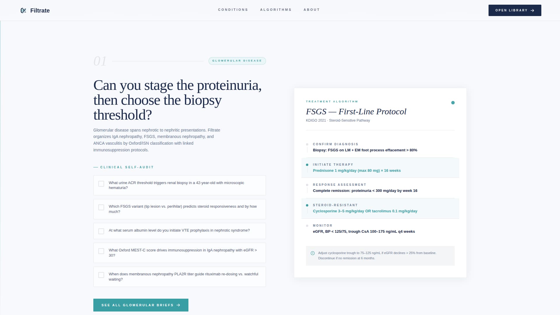 Nephrologist Reviews Website Template