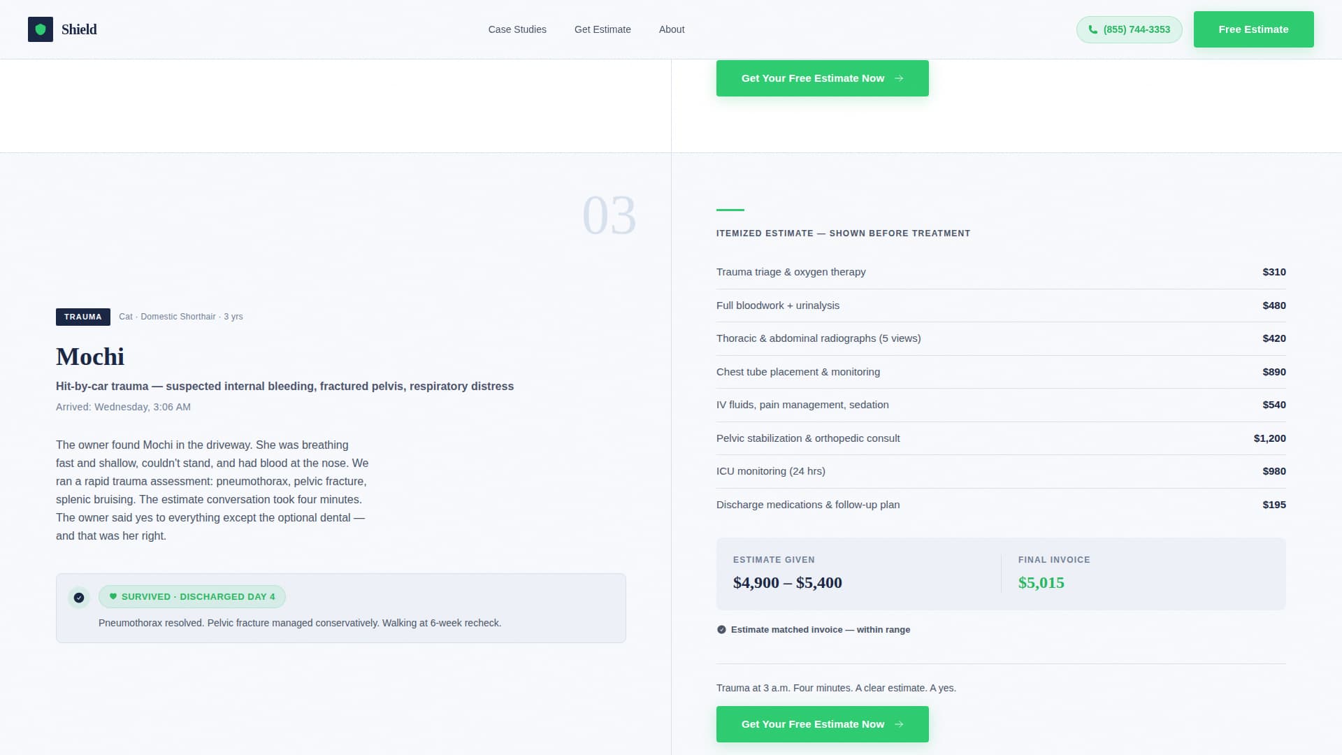 Emergency Vet Marketing Pricing Website Template