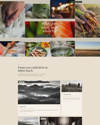 Macrobiotic Food & Dining Booking Website Template