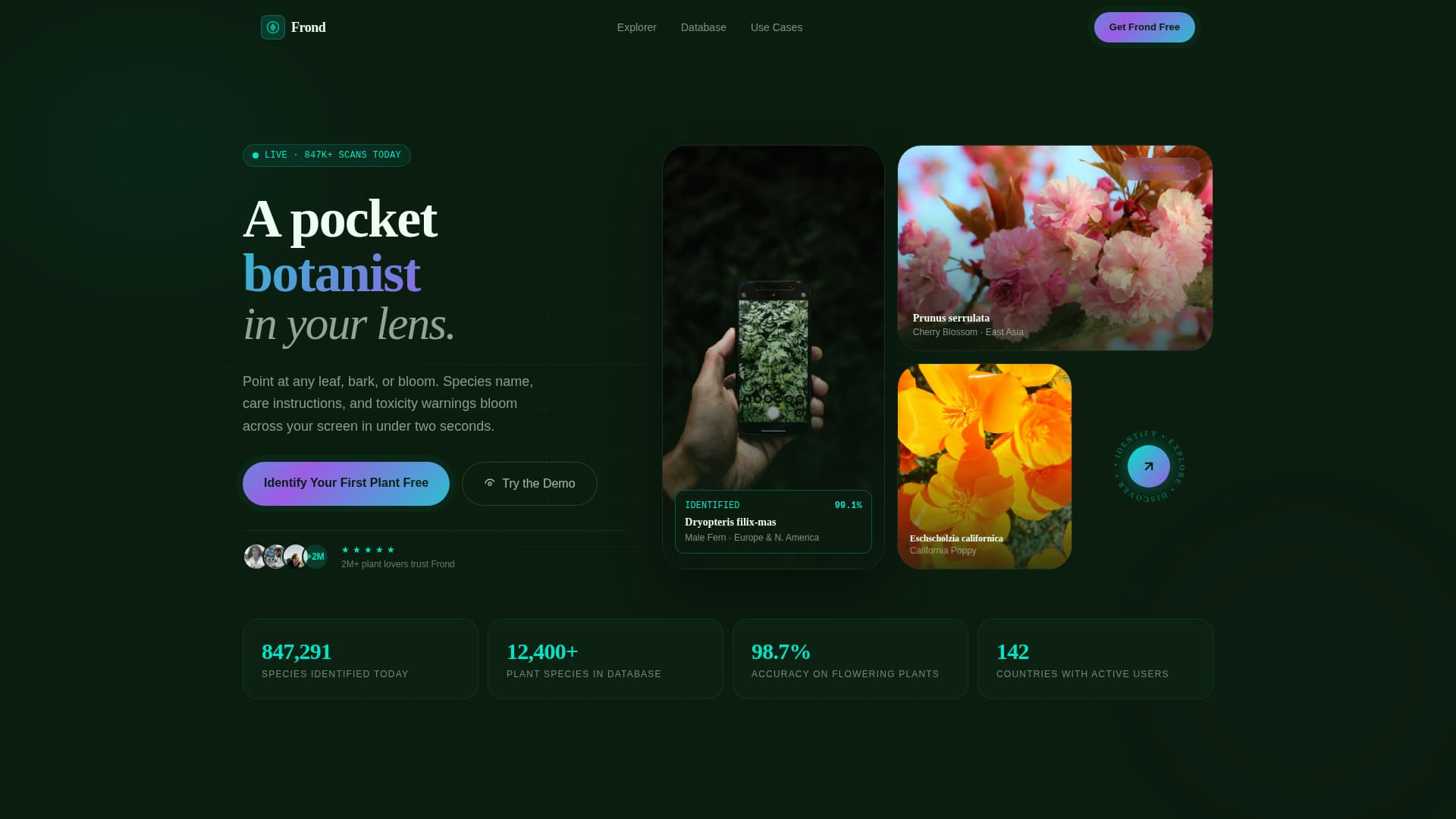 Consumer App & Platform Professional Website Template