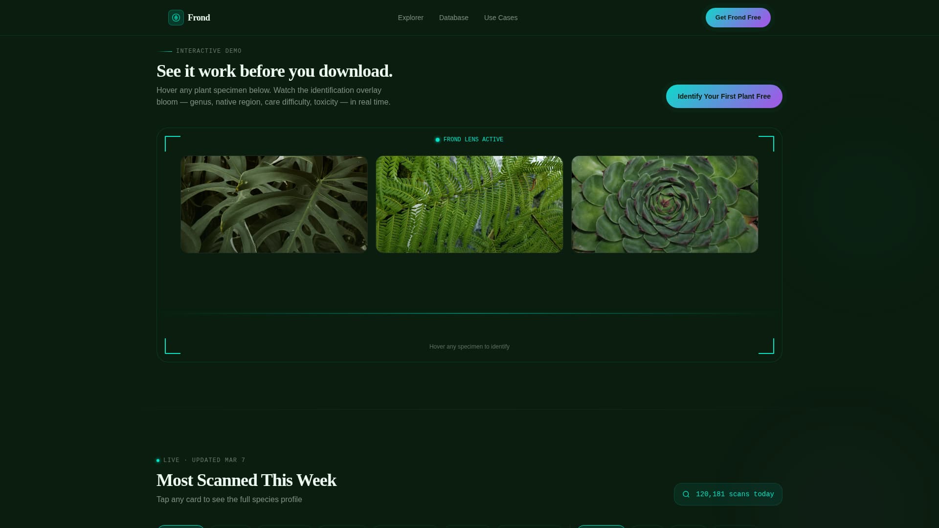 Consumer App & Platform Professional Website Template