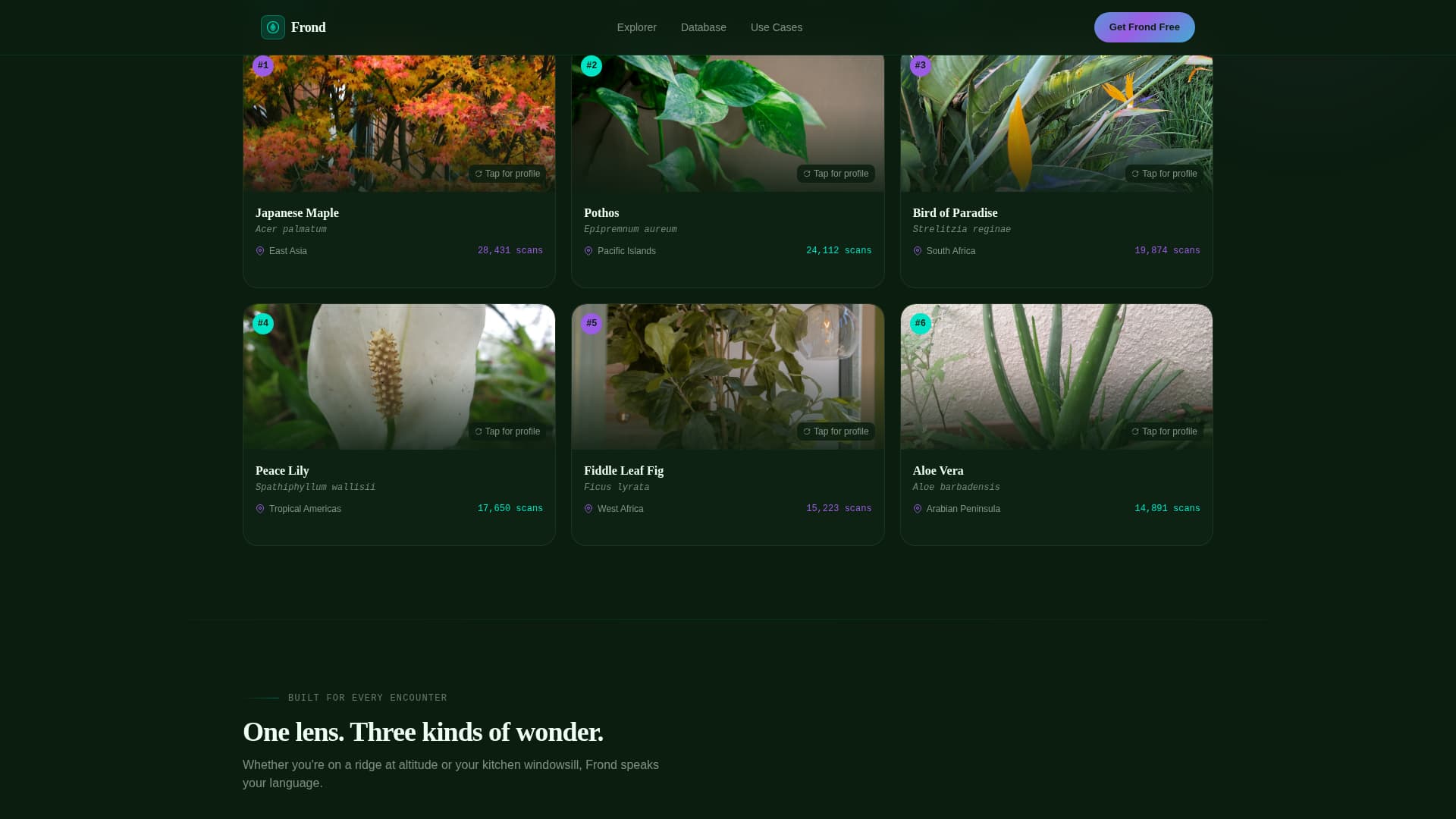 Consumer App & Platform Professional Website Template