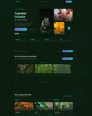 Consumer App & Platform Professional Website Template