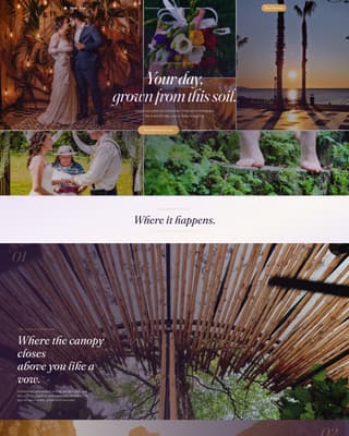 Tropical Wedding Pricing Website Template