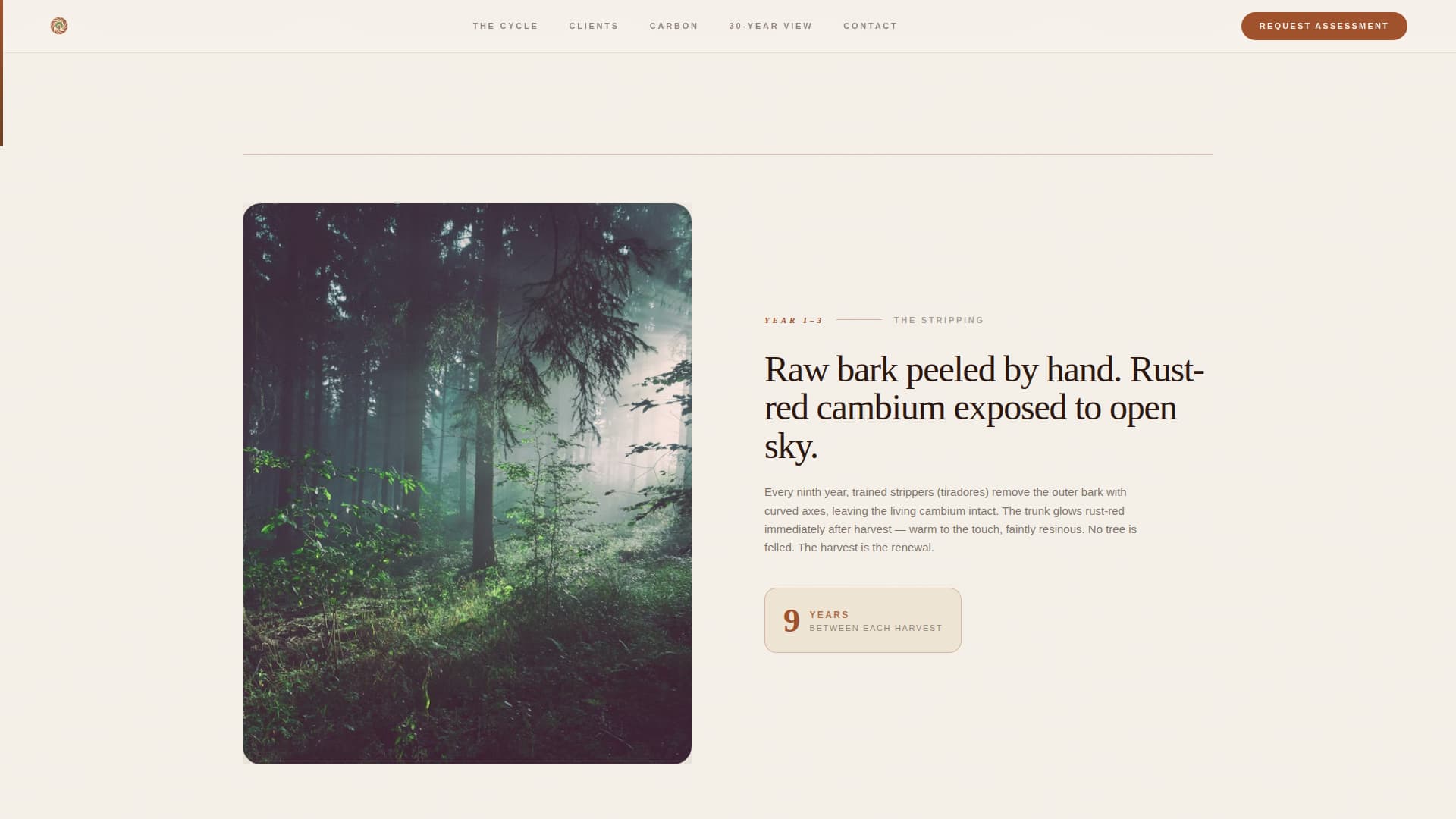 Forestry & Timber Professional Website Template