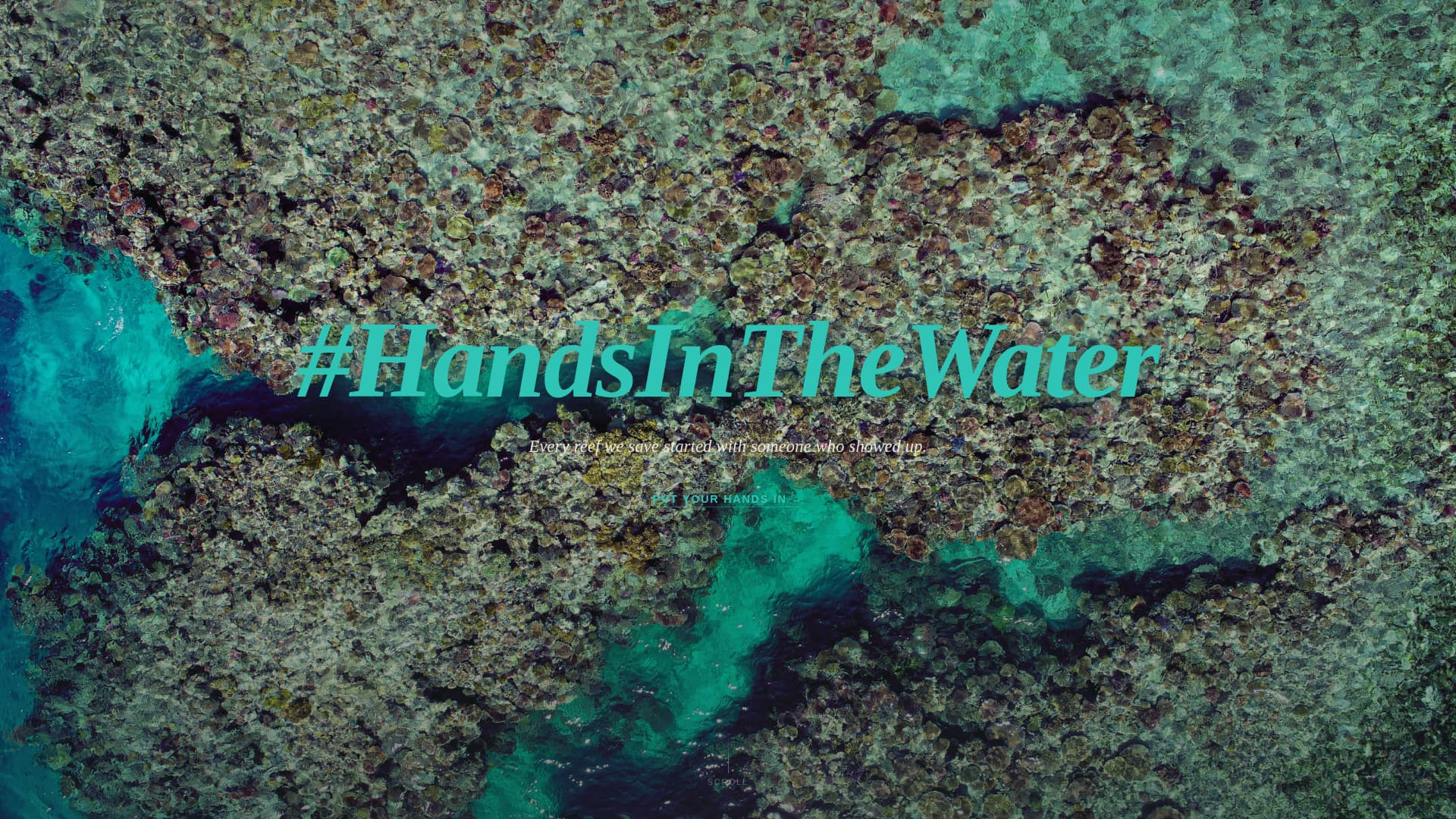 Tideline - Immersive Oceanconservation Landing Page Template